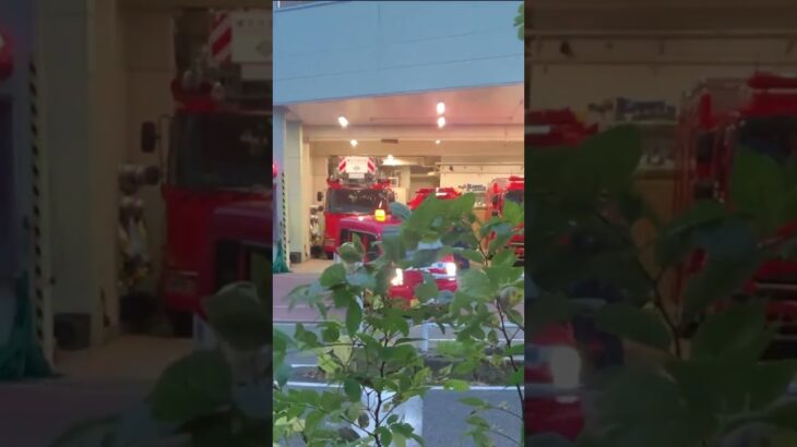 栄ミニ 救急支援 ピーポーサイレンを鳴らし出動【栄ミニ消防隊・横浜市消防局】