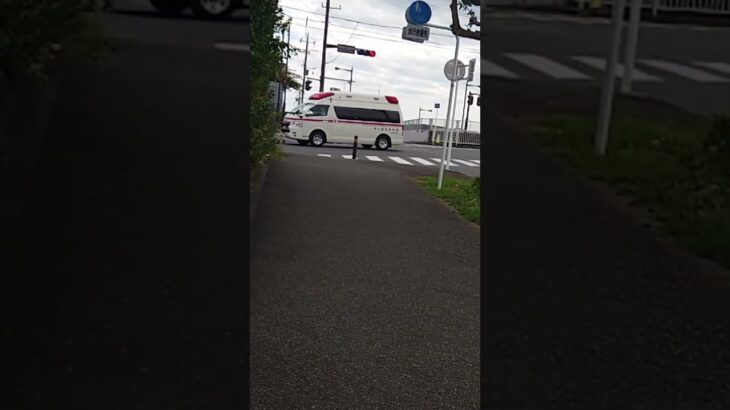 市外搬送 ハイメディック救急車 藤沢市内を緊急走行【茅ヶ崎市消防本部】