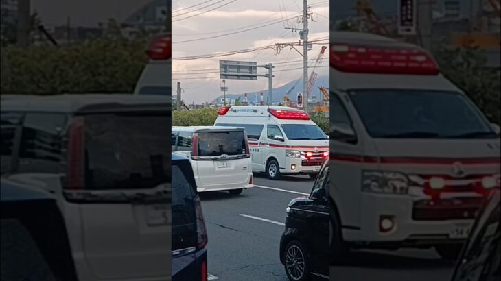 【緊急走行】鹿児島市消防局谷山北非常用救急（郡元救急代車運用中）
