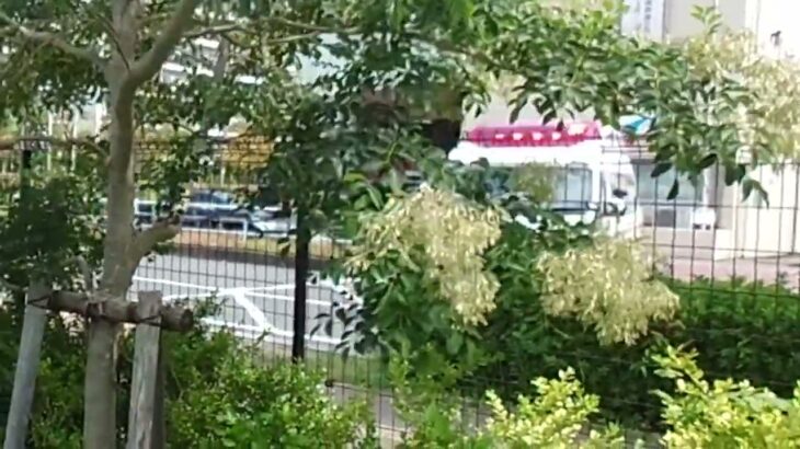 可変ビーコン搭載パラメディック 右折シーケンシャルモード【野庭救急隊・横浜市消防局】