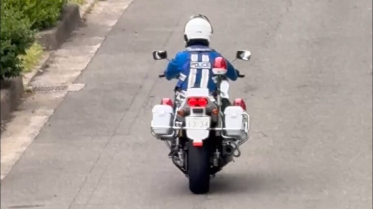 🚨白バイ🚨走行動画🚨兵庫県警🚨