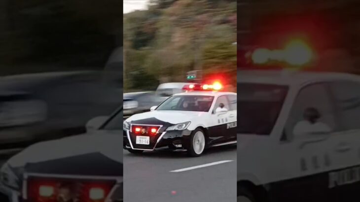 【緊急走行集105】交通事故発生!パトカー・白バイ多数出場！鹿児島県警察　鹿児島市消防局
