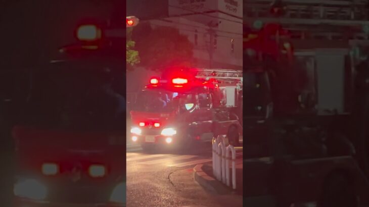 【緊急走行】垂水11、緊急走行！【神戸市消防局】#shorts  #ショート #消防署 #消防車 #fire #firefighter #サイレン#救急車 #救急 #はしご車