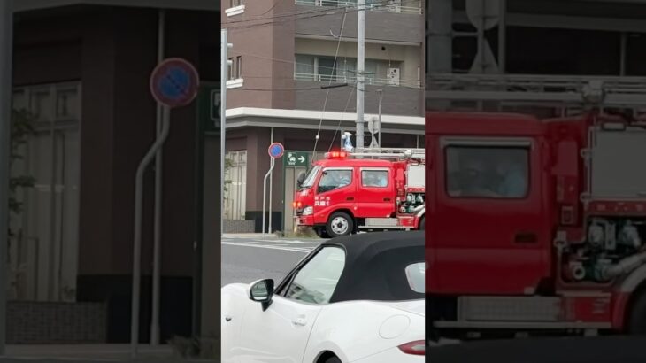 【緊急走行】兵庫1、緊急走行！【神戸市消防局】#shorts  #ショート #消防署 #消防車 #fire #firefighter #サイレン#救急車 #救急 #はしご車