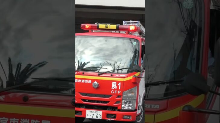 【緊急走行】北夙川1、緊急出動！【西宮市消防局】#shorts  #ショート #消防署 #消防車 #fire #firefighter #サイレン#救急車 #救急 #はしご車