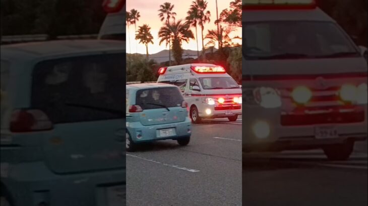 【緊急走行】指宿南九州消防組合指宿救急2