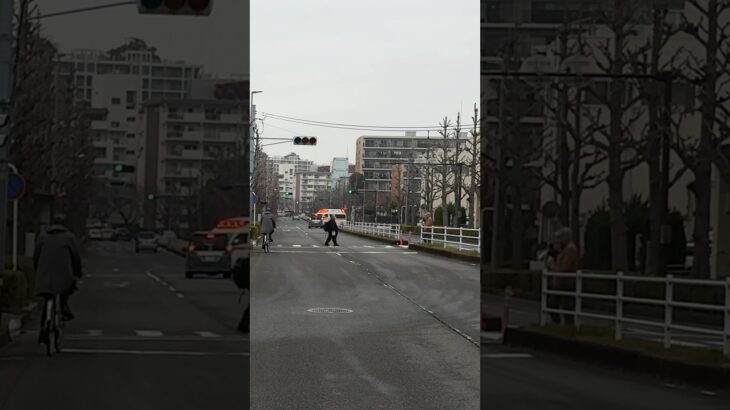 視認抜群のアクティビーコン ハイパーモード【戸塚第2救急隊・横浜市消防局】