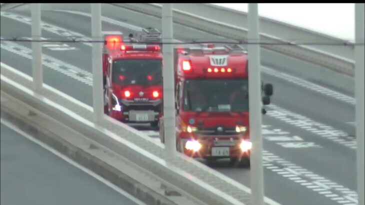 🚨まるで映画のワンシーン🚨消防車2台が緊急走行🚨響き渡るサイレン🚨　#消防車