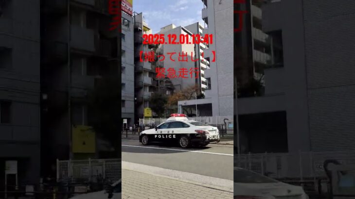 2025.12.01.13:41 【撮って出し！】 #パトカー の #緊急走行