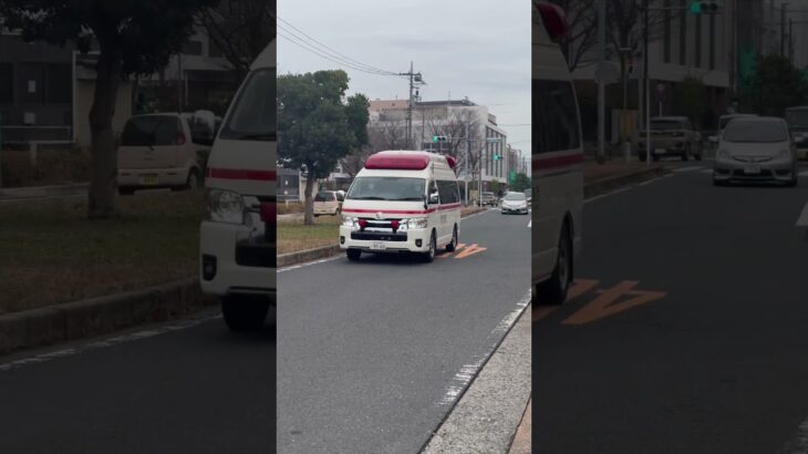 (緊急走行)東京消防庁救急車2台、消防車1台で緊急走行！