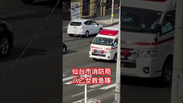 救急車が同時に2台緊急走行しており、2台目に気付かず1台目のみ撮影。