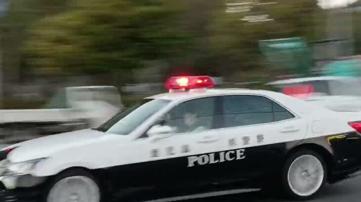 【緊急走行】3連続緊走！鹿児島県警察　交機　白バイ　谷山ミニパト