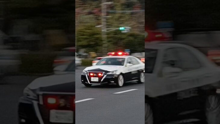 【緊急走行】3連続緊走！鹿児島県警察交通機動隊　白バイ　谷山ミニパト