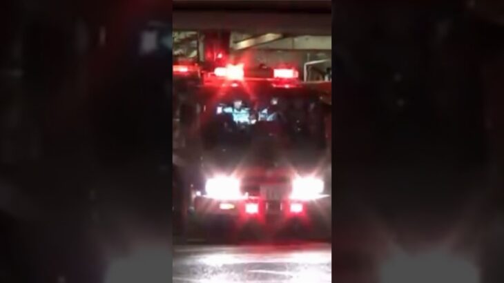 【緊急走行】兵庫33、緊急走行！【神戸市消防局】#shorts  #ショート #消防署 #消防車 #fire #firefighter #サイレン#救急車 #救急 #はしご車