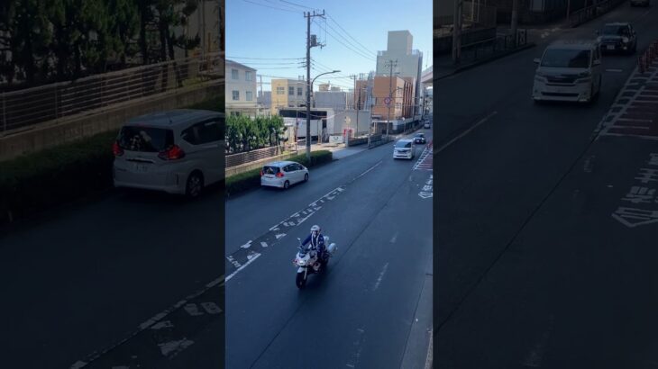 警視庁第4方面交通機動隊白バイ緊急走行(CB1300P)FJRパトラん #警察