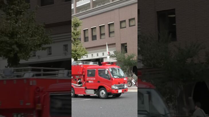 【緊急走行】中央95&長田5緊急走行！【神戸市消防局】#shorts  #ショート #消防署 #消防車 #fire #firefighter #サイレン#救急車 #救急 #はしご車