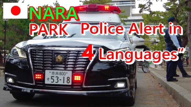 シカさんも安心?【4か国語 防犯】放送 空耳的AI翻訳 Police Alert in 4 Languages Nara Park – for Deer TOYOTA CROWN 210