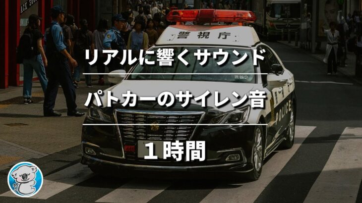 【ASMR】パトカーのサイレンの音(1時間耐久) | 警察車両のサイレン音
