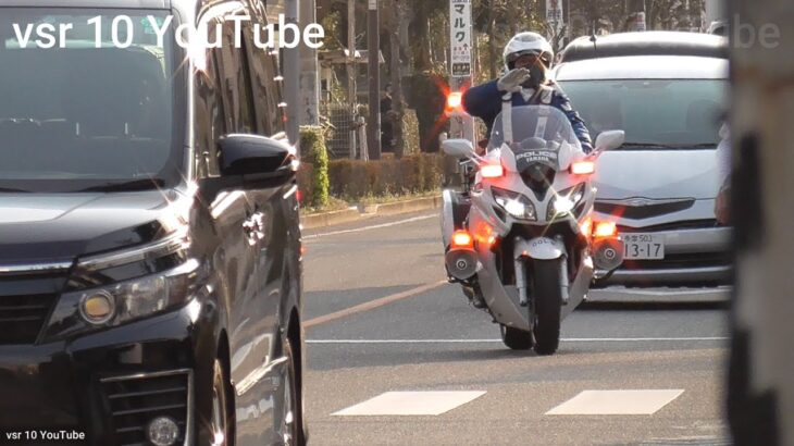 【マジ?これ見えねーのかよ…】歩行者ガン無視で通過した車両を即座に猛追する白バイ!!•バス専用レーンからごぼう抜き!大量の警察が出迎え!•レクサスBBAが停止線をぶち抜き白バイに捕まる!等