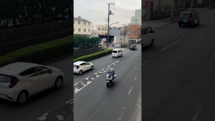 警視庁白バイ緊急走行(NT1100P)