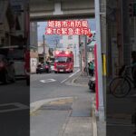 東TC緊急走行！　　　　　　　　　　　※結構前に撮った動画です。　　　　　　　#姫路市消防局#消防車#消防#消防車緊急走行#緊急走行#おすすめ#バスれ#サイレン#モーターサイレン#ドクターカー#救助