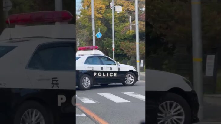 🚨パトカー🚨兵庫県警🚨パトロール🚨走行動画🚨 #short #shorts #パトカー