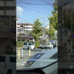 🚨響き渡るサイレン🚨救急車🚨緊急走行🚨　#short #shorts