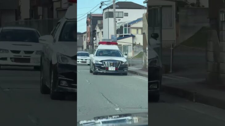 🚨パトカー🚨兵庫県警🚨走行動画🚨パトロール🚨　#short #shorts #パトカー