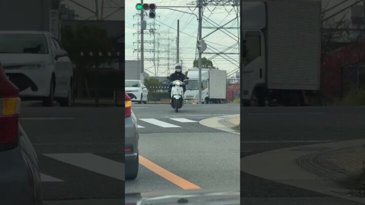 🚨バイクの警察官🫡兵庫県警🚨　#short #shorts #兵庫県警