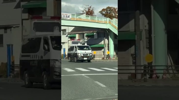 🚨警察車両🚨赤色灯🚨兵庫県警🚨走行動画🚨 #short #shorts