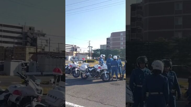 🚨談笑する白バイ隊員🚨白バイ🚨兵庫県警🚨　#short #shorts