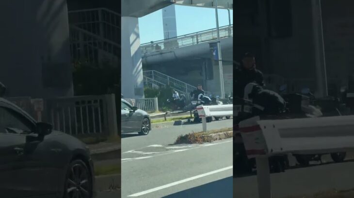 🚨交通違反取締り🚨大阪府警🚨　#大阪府警 #short #shortsvideo