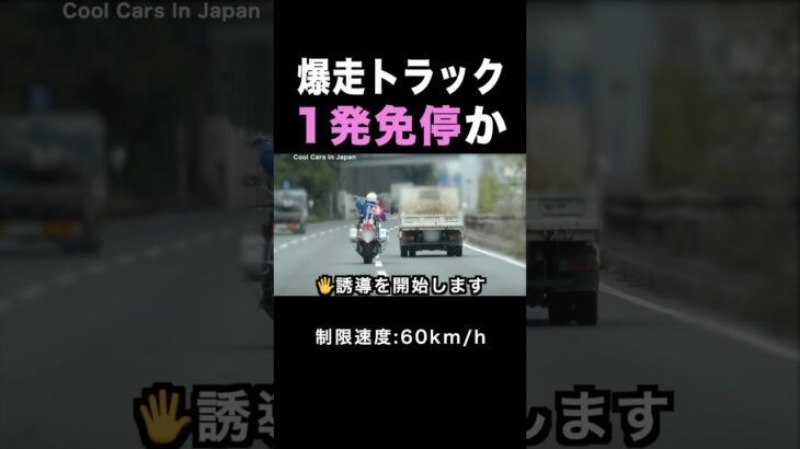 一般道を爆走するトラックが白バイに捕まる‼️ #shorts
