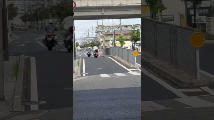 🚨白バイと警察バイク🚨兵庫県警🚨 #shorts #short #白バイ