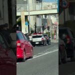 🚨対応する警察官🚨兵庫県警🚨ミニパト🚨パトカー🚨　#shorts #short #パトカー