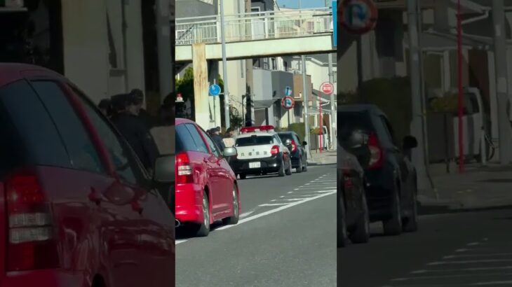 🚨対応する警察官🚨兵庫県警🚨ミニパト🚨パトカー🚨　#shorts #short #パトカー