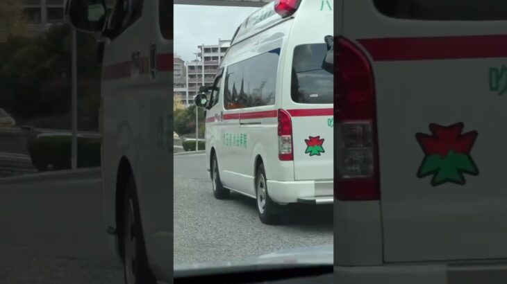 🚨響き渡るサイレン🚨救急車🚨緊急走行🚨　#shorts #short #救急車