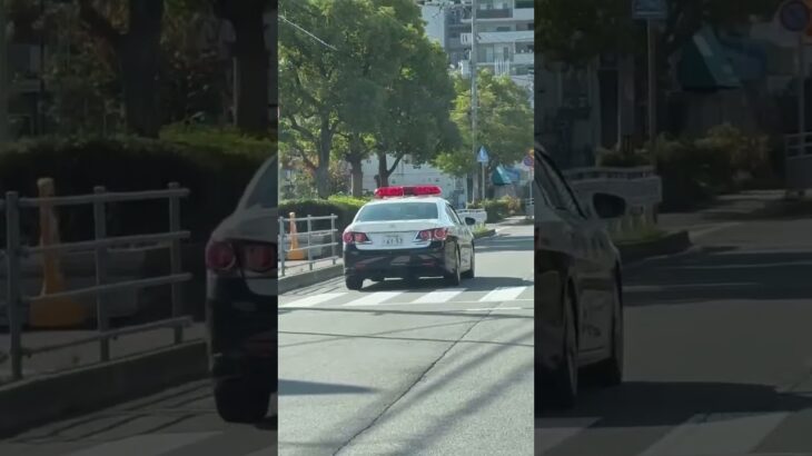 🚨兵庫県警🚨パトカー🚨赤色灯🚨パトロール🚨 #shorts #short #パトカー