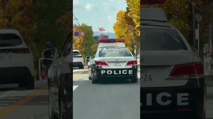 🚨大阪府警🚨パトカー🚨パトロール🚨走行動画🚨　#shorts #short #パトカー #大阪府警