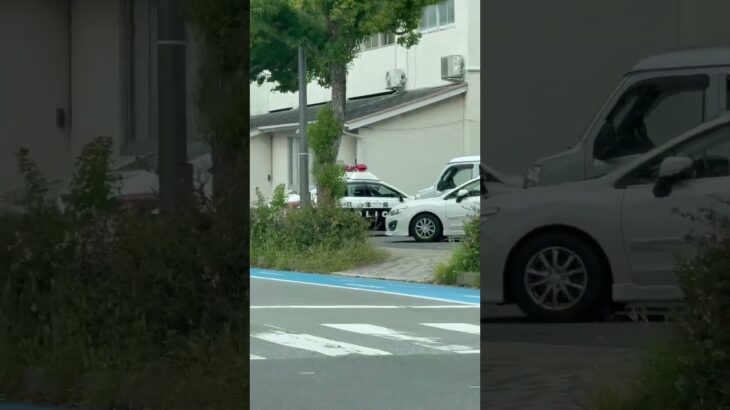 🚨署に戻るパトカー🚨兵庫県警🚨パトカー🚨　#shorts  #short