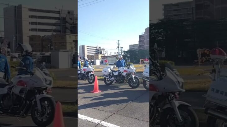 🚨白バイ🚨兵庫県警🚨白バイ隊員🚨　#白バイ #shorts #short