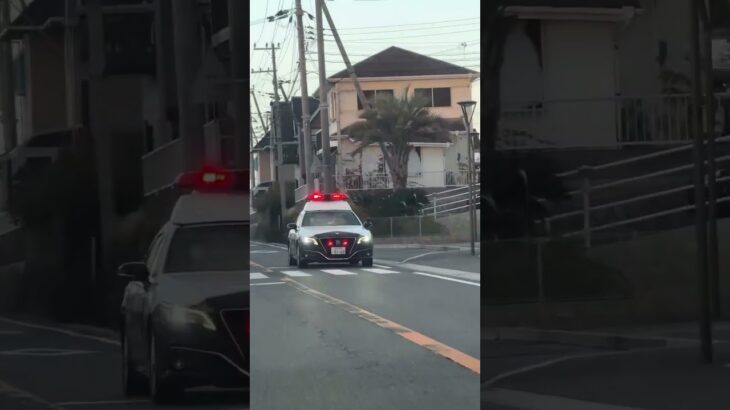 🚨パトカー🚨赤色灯🚨兵庫県警🚨 #パトカー #shorts #short