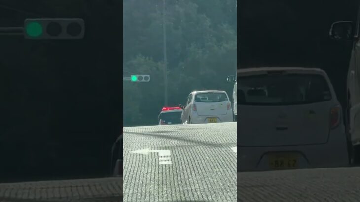 🚨ミニパト🚨パトロール🚨兵庫県警🚨　#shorts #short