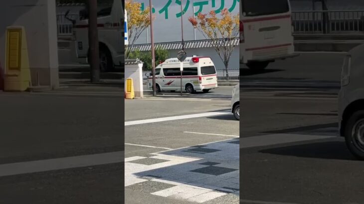 🚨救急車🚨緊急走行🚨伊丹市消防局🚨 #shorts #short