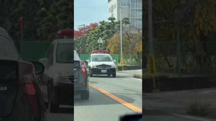 🚨ミニパト🚨パトロール🚨兵庫県警🚨　#shorts #short