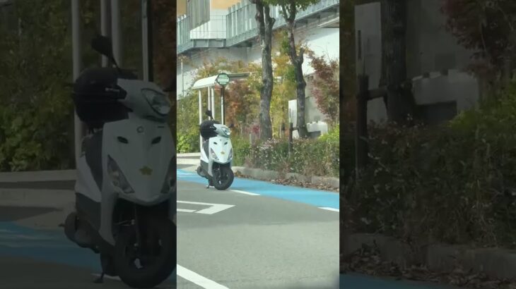 🤔🤔道路に警察バイクが・・・🤔🤔🤔🤔　#shorts #short #shortsfeed