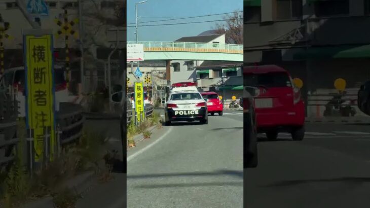 🚨一時停止を見張るパトカー🚨兵庫県警🚨　#パトカー #shorts #short #shortsvideo