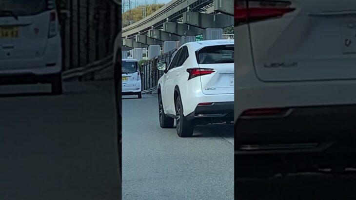 道路のど真ん中にいるカラスが車を歩いて避けてて草😅　#shorts #shortsvideo #short