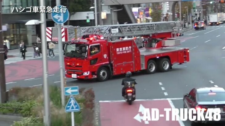 どいたどいた～！渋谷で火災発生し赤坂、麻布のハシゴ車が青山通りを緊急走行