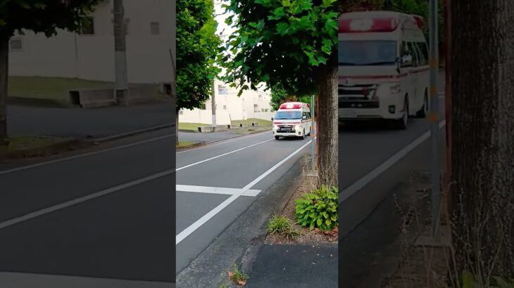 水戸市消防局救急車緊急走行